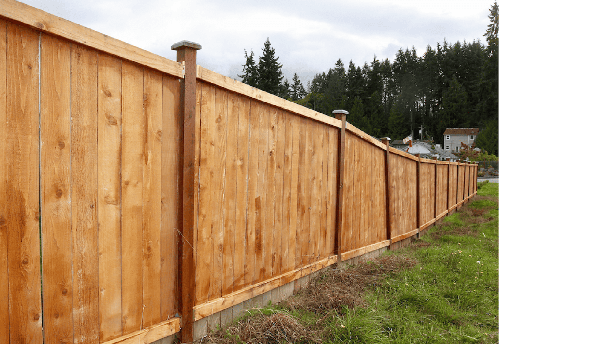 fence tc